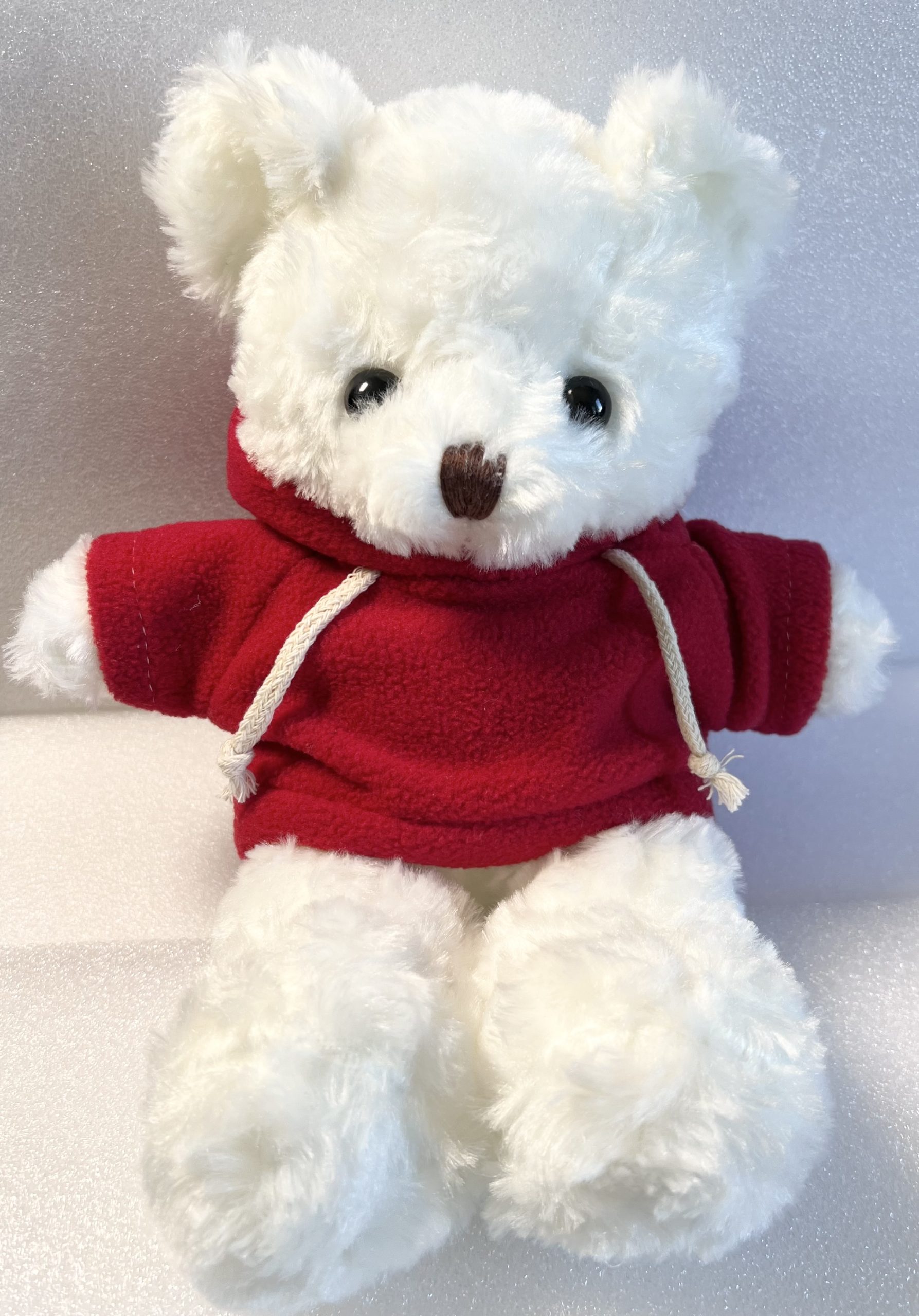 Personalized Teddy Bear with Custom Hoodie | A Gift to Treasure