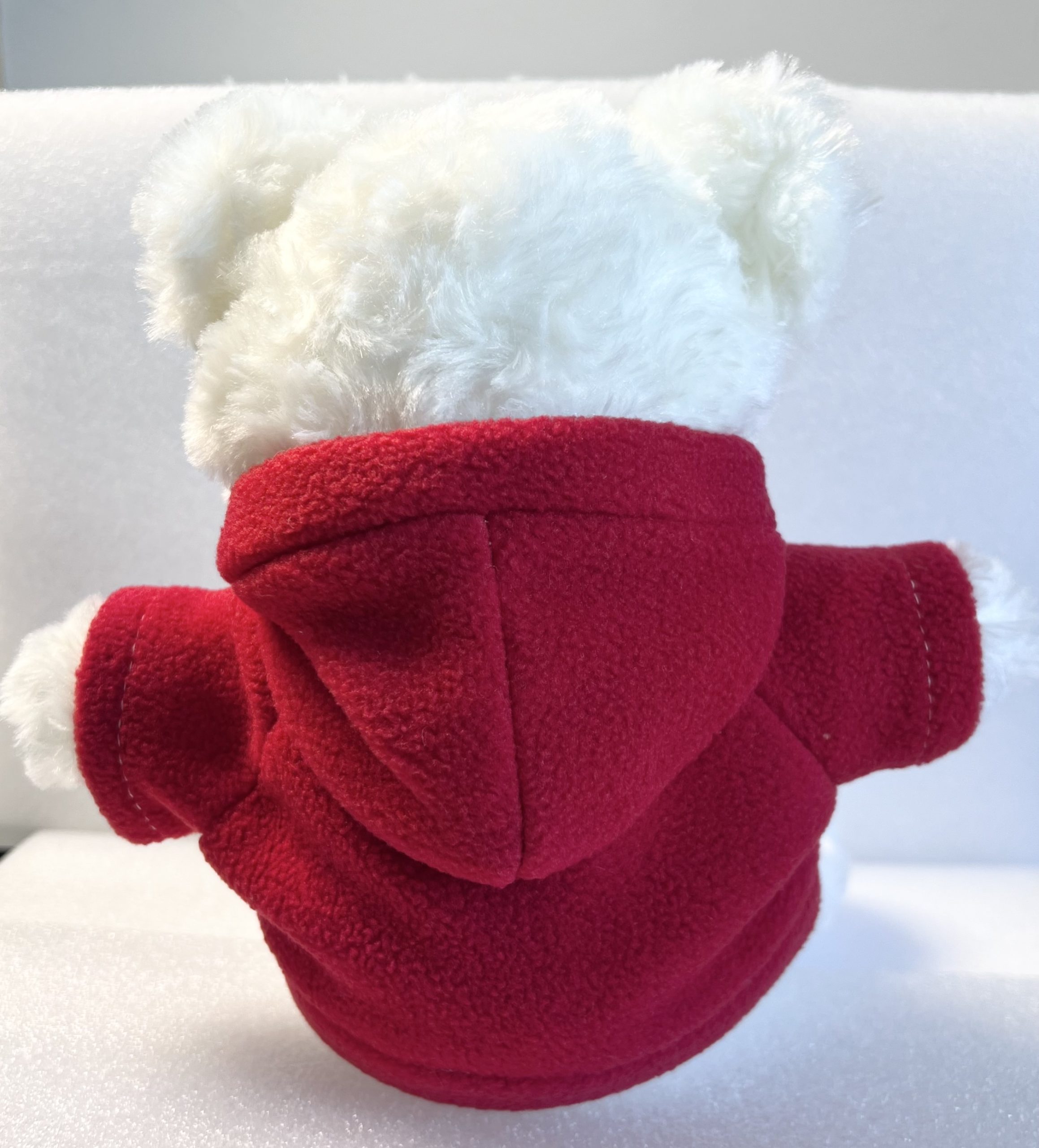 Personalized Teddy Bear with Custom Hoodie | A Gift to Treasure