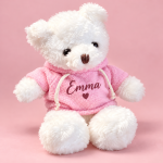 Personalized Teddy Bear with Custom Hoodie | A Gift to Treasure — personalized design and product detail